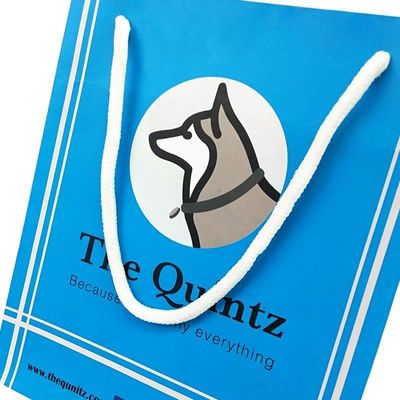 Kantong kemasan pakaian khusus ramah lingkungan dengan kertas bebas kayu daur ulang dan logo khusus
